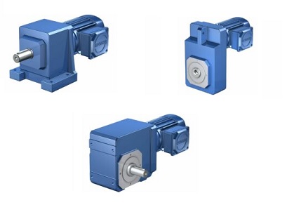 Asynchronous Geared Servo Motors